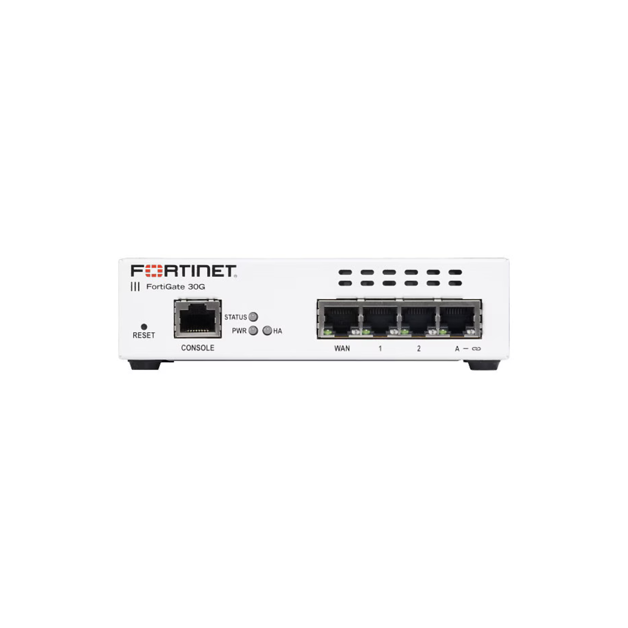 fortigate 30g-ynysolutions